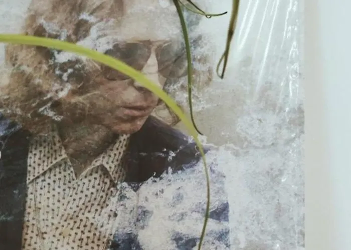 Tatil Evi Acogedora Vivienda Con Parking En La Playa De Canteras Las Palmas de Gran Canaria